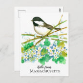 Hallo von Massachusetts Chickadee Mayflower Postkarte (Vorne/Hinten)