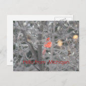 Hallo von Michigan Postkarte (Vorne/Hinten)