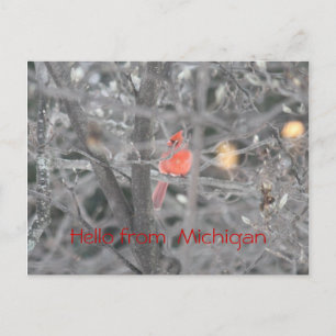 Hallo von Michigan Postkarte