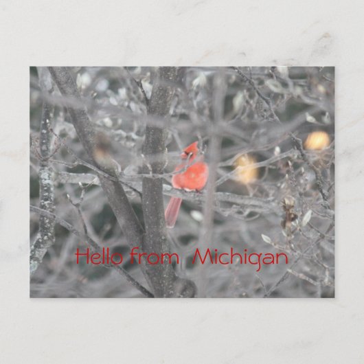 Hallo von Michigan Postkarte (Vorderseite)