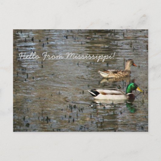 Hallo Von Mississippi! Postkarte (Vorderseite)