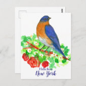 Hallo von New York Bluebird Rose Postkarte (Vorne/Hinten)