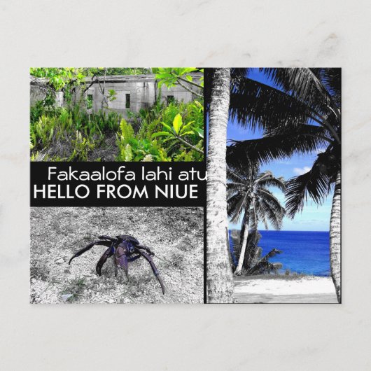 Hallo von Niue - Postcard Postkarte (Vorderseite)