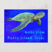 Hallo von Padre Island TX Ocean Blue Sea Turtle Postkarte (Vorderseite)