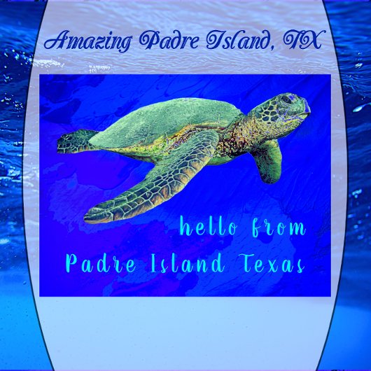 Hallo von Padre Island TX Ocean Blue Sea Turtle Postkarte