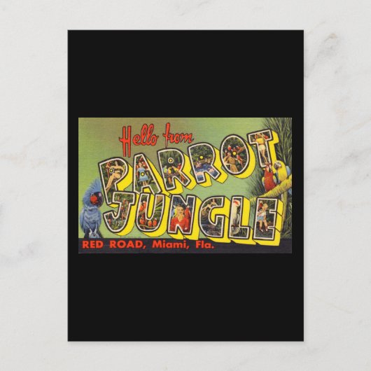 Hallo von Parrot Jungle Postkarte (Vorderseite)