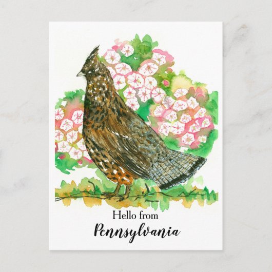 Hallo von Pennsylvania Ruffed Grouse Bird Postkarte (Vorderseite)