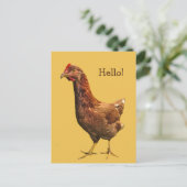 Hallo von Red Hen Chicken Postcard Postkarte (Stehend Vorderseite)