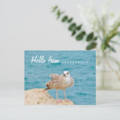 Hallo von......Seagull Postkarte (Stehend Vorderseite)