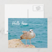 Hallo von......Seagull Postkarte (Vorne/Hinten)