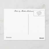 Hallo von... Seneca Falls, NY Postkarte (Rückseite)