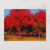 Hallo Von Tupelo Postkarte (Vorderseite)