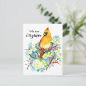 Hallo von Virginia Kardinal Dogwood Postkarte (Stehend Vorderseite)