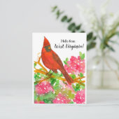 Hallo von West Virginia Nord Kardinal Postkarte (Stehend Vorderseite)