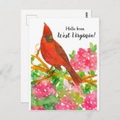 Hallo von West Virginia Nord Kardinal Postkarte (Vorne/Hinten)