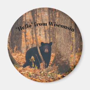 Hallo Von Wisconsin mit schwarzem Bär Magnet