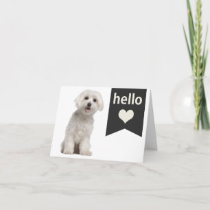 Hallo Weißer Malteser Welpe Hund Leere Karte