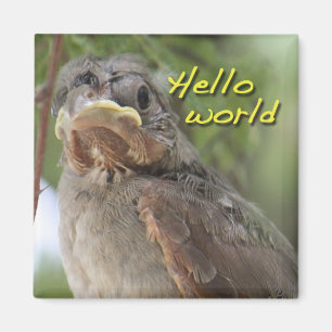 Hallo Weltmagnet Magnet