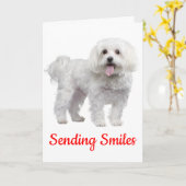 Hallo White Maltese Welpe Hund Denken Sie an Sie Karte (Gelbe Blume)