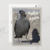 Hallo wieder CC0518 Jackdaw Postcard Postkarte (Vorne/Hinten)