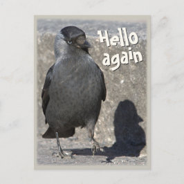 Hallo wieder CC0518 Jackdaw Postcard Postkarte