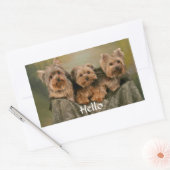 Hallo Yorkshire Terrier Puppy Dog Grußsticker Rechteckiger Aufkleber (Umschlag)