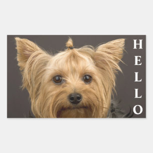 Hallo Yorkshire Terrier Yorkie Welpen Hund Aufkleb Rechteckiger Aufkleber