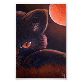 HALLOWEE SCHWARZE KATZE MIT ORANGE MOON 4" X 6" DR FOTODRUCK