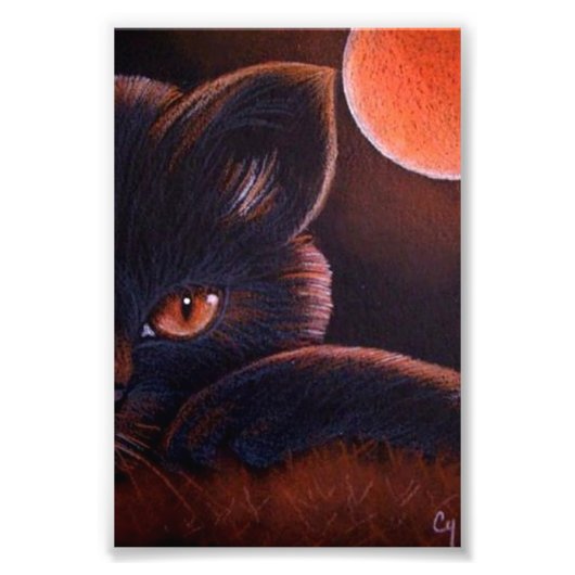 HALLOWEE SCHWARZE KATZE MIT ORANGE MOON 4" X 6" DR FOTODRUCK (Vorne)