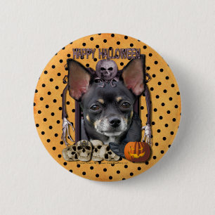 Halloween-Albtraum - Chihuahua - Isabella Button