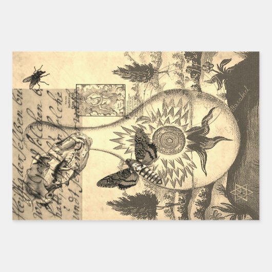 Halloween Alchemy Moth Animal Skull Geschenkpapier Set (Vorderseite 2)