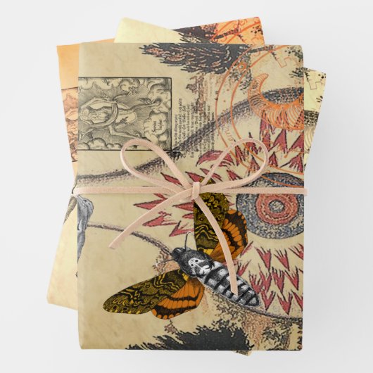 Halloween Alchemy Moth Animal Skull Geschenkpapier Set (Beispiel)