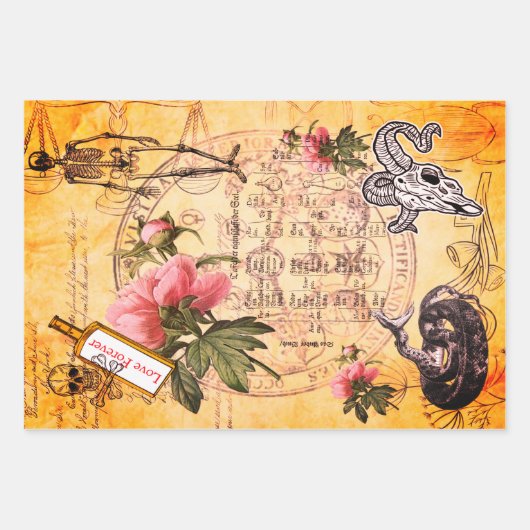 Halloween Alchemy Pink Peony Skeleton Ephemera Geschenkpapier Set (Vorderseite 3)