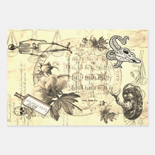 Halloween Alchemy Pink Peony Skeleton Ephemera Geschenkpapier Set (Vorderseite 2)