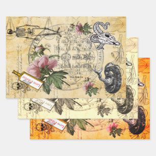 Halloween Alchemy Pink Peony Skeleton Ephemera Geschenkpapier Set