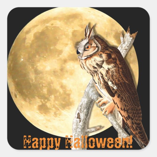Halloween Audubon Long-Owl Stickers (Vorderseite)