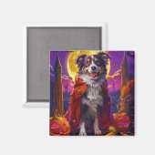 Halloween Australian Shepherd Dog Pumpkins Beängst Magnet (Vorderseite/Rückseite)