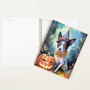 Halloween Australische Rinder mit Pumpkins Beängst Planer