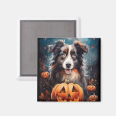 Halloween Australischer Schäferhund mit Pumpkins B Magnet (Vorderseite/Rückseite)