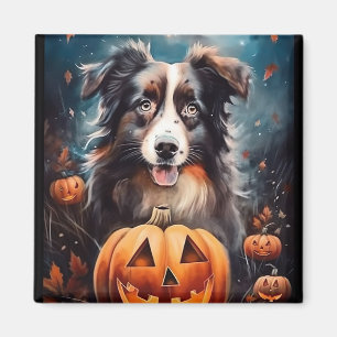 Halloween Australischer Schäferhund mit Pumpkins B Magnet