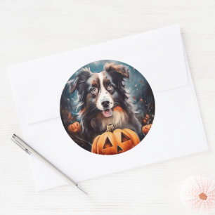 Halloween Australischer Schäferhund mit Pumpkins B Runder Aufkleber