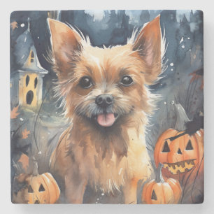 Halloween Australischer Terrier mit Kürbissen Grus Steinuntersetzer
