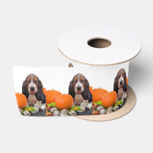 Halloween Basset Hund 3" Satinband