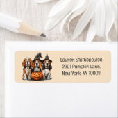 Halloween-Beagle-Hunde für Trick oder Treat (Insitu)