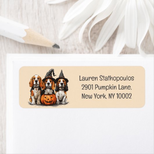 Halloween-Beagle-Hunde für Trick oder Treat (Insitu)