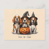 Halloween-Beagle-Hunde für Trick oder Treat Postkarte (Vorderseite)