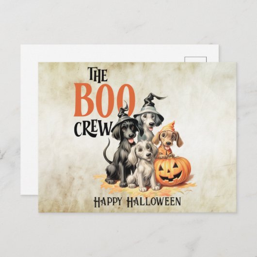 Halloween Beängstigend Boo Hogs Crew Orange Pumpki Postkarte (Vorne/Hinten)