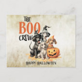 Halloween Beängstigend Boo Hogs Crew Orange Pumpki Postkarte (Vorderseite)