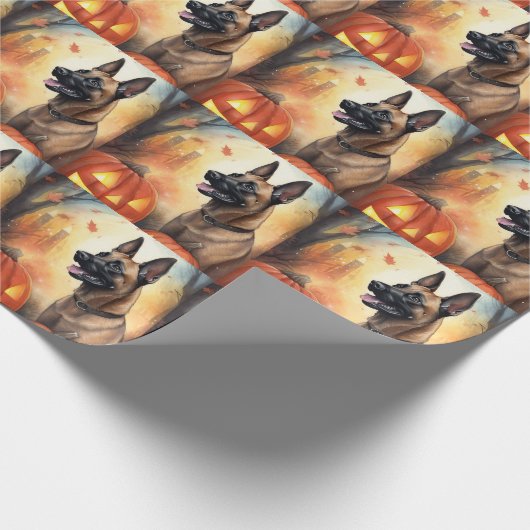 Halloween Belgisch Malinoi mit Pumpkins Beängstige Geschenkpapier (Ecke)