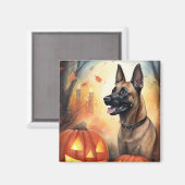 Halloween Belgisch Malinoi mit Pumpkins Beängstige Magnet (Vorderseite/Rückseite)